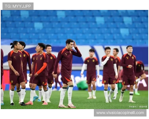 美加墨三国世界杯篮球赛表现分析:从篮板数据看球队竞争力